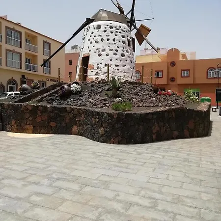 Seven Roses קורלחו